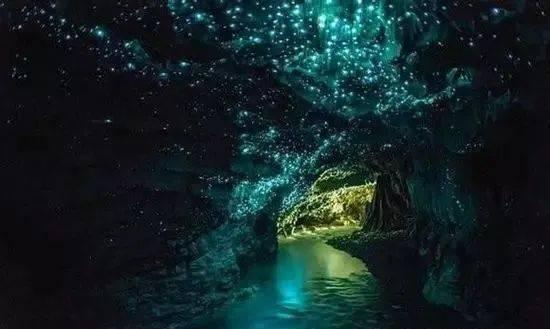 拯救昆虫群