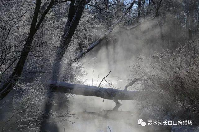 国产三蹦子在美国订单猛增