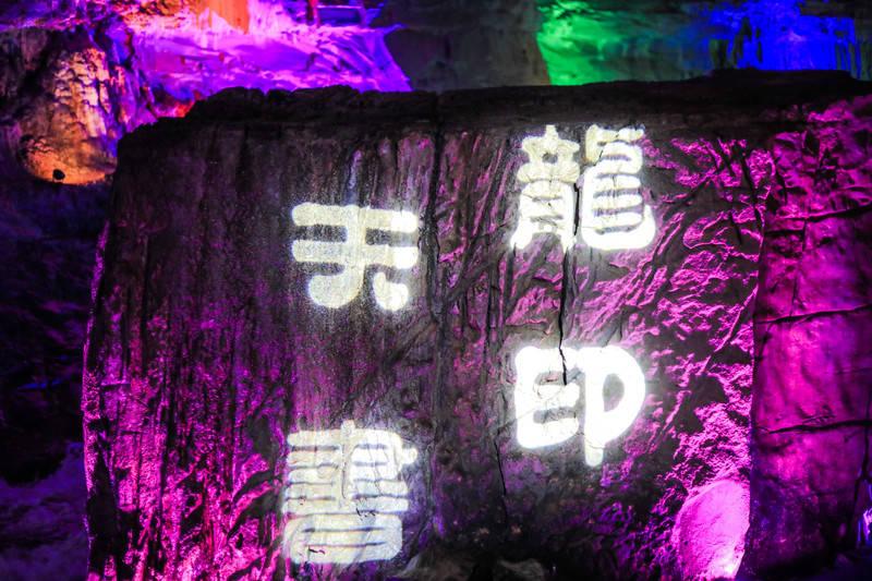 美人鱼的聚会