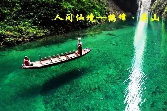 救援小孔雀