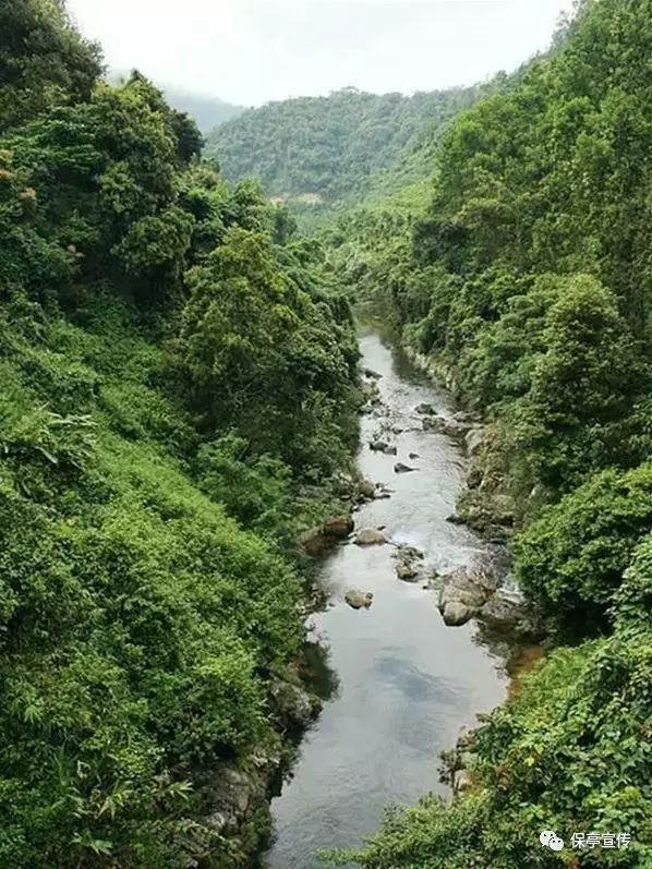 《飞驰人生2》发布会：沈腾范丞丞耍宝，于适客串，韩寒藏惊喜