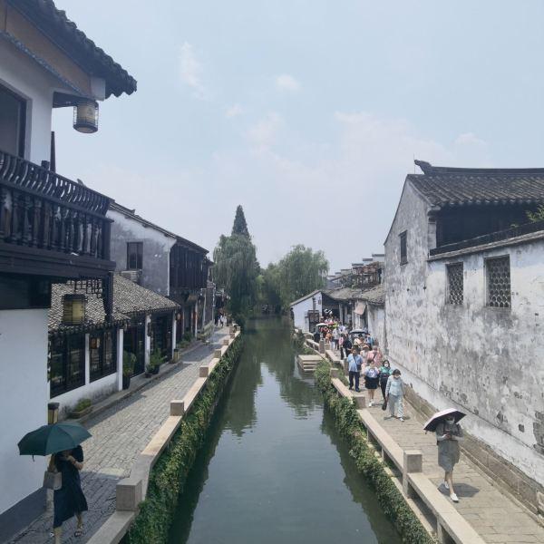 敏捷的白球