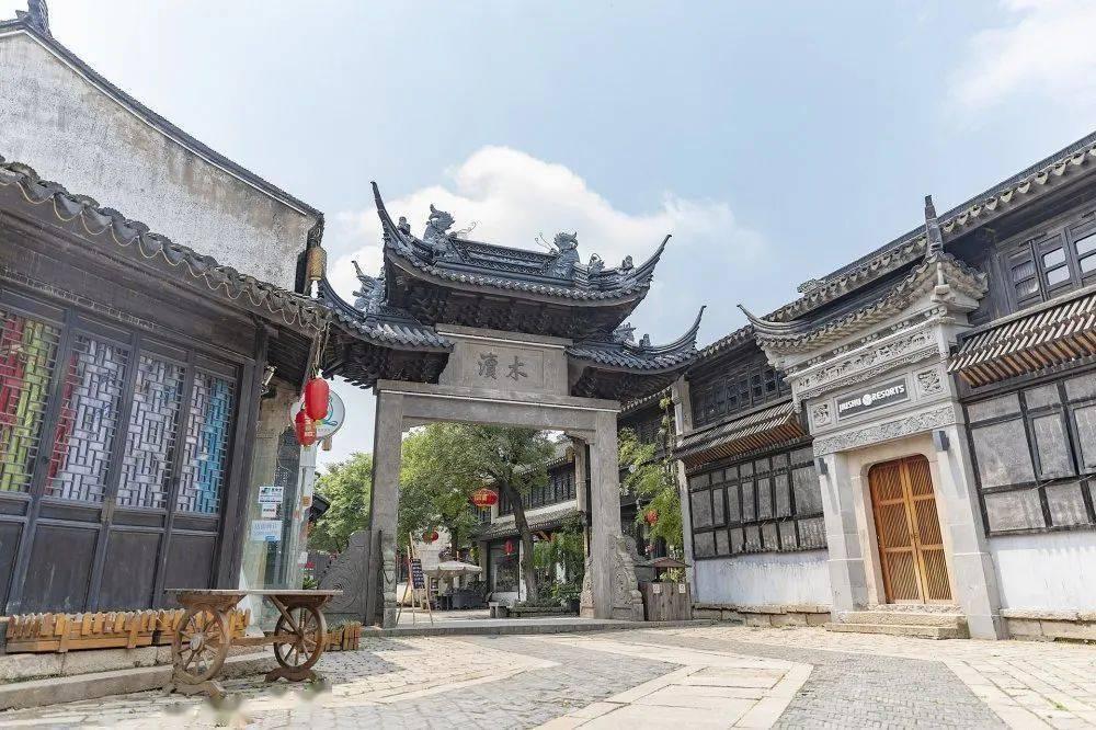 救援淘气的小狗