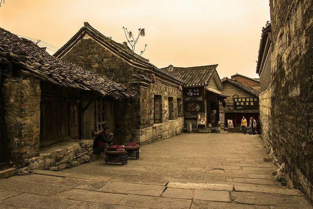 动物帮帮忙保卫家园
