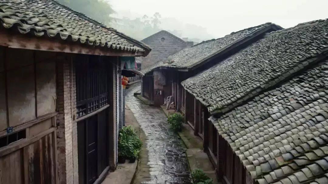港剧《杨贵妃》之惠妃，披着温柔外衣的蛇蝎美人